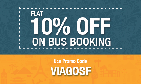 Flat 10% OFF on every Bus Tickets !!!